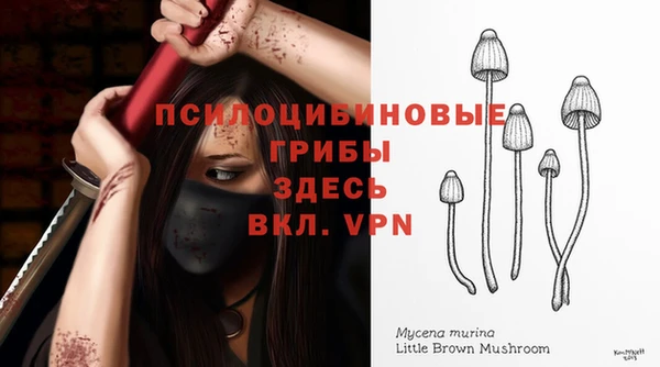 a pvp Алексеевка