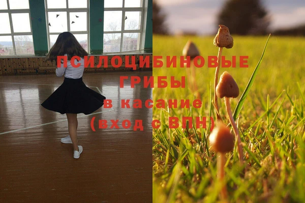 мдпв Алексин