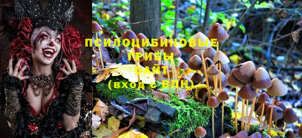 марки nbome Алзамай